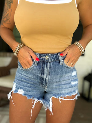 Bryson High Rise Distressed Denim Shorts