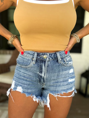 Bryson High Rise Distressed Denim Shorts