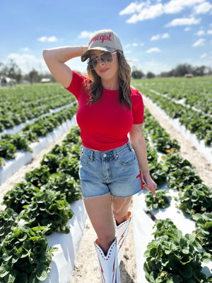 Mavis High Rise Side Ribbon Denim Shorts