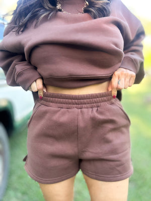 DOORBUSTER - Gabi Round Neck Pullover Brown