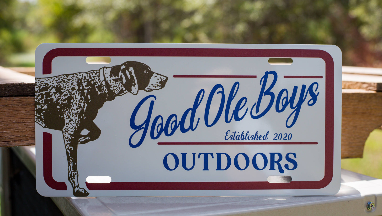 Pointer License Plate