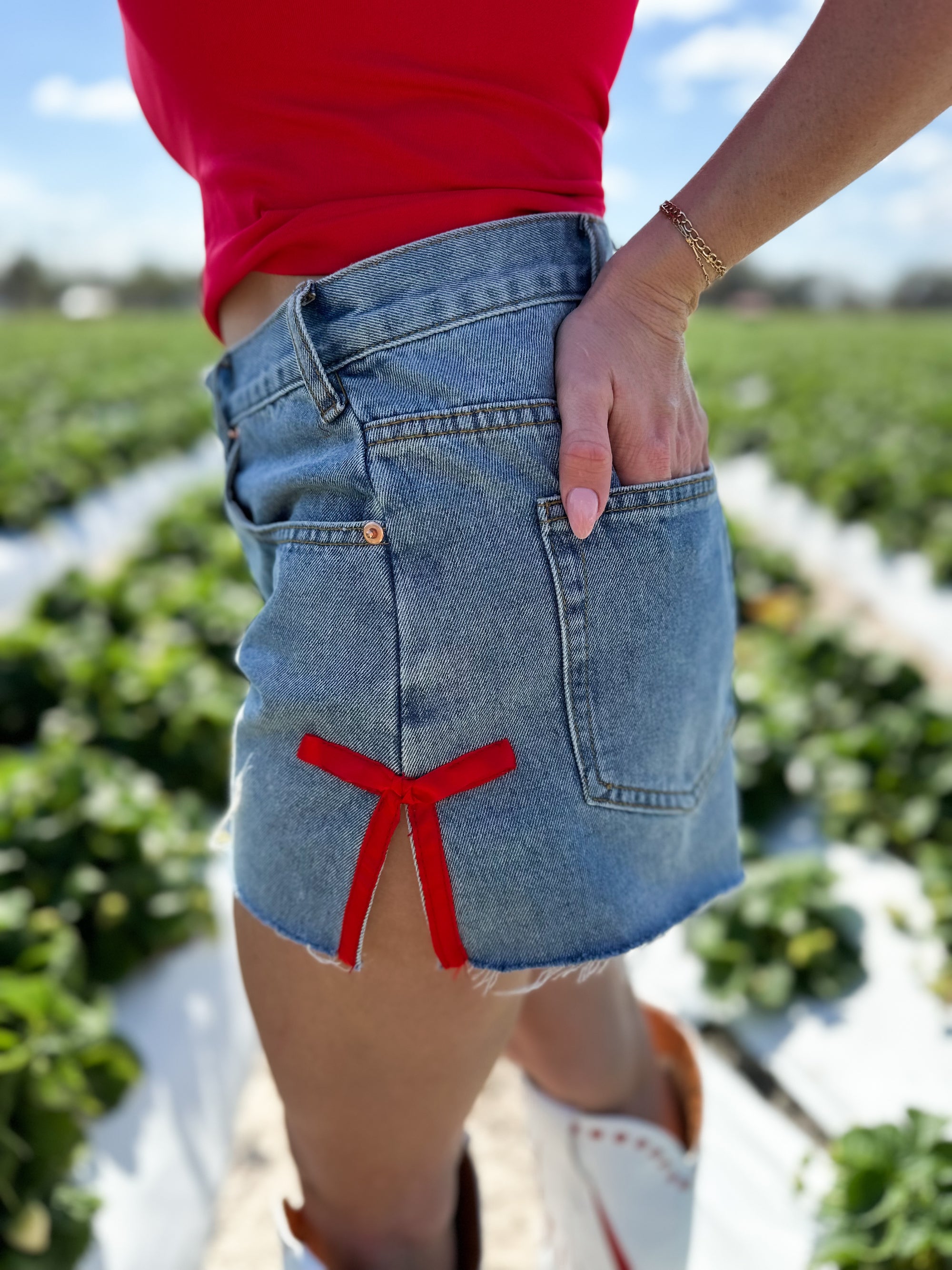 Mavis High Rise Side Ribbon Denim Shorts