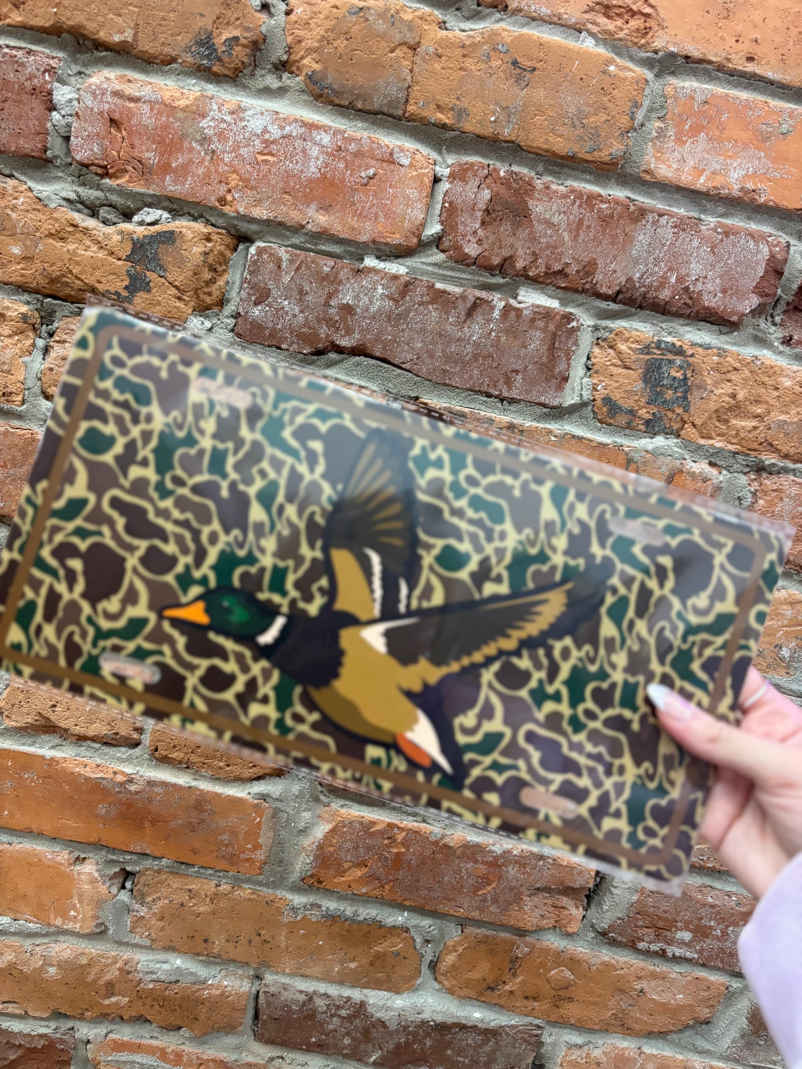 License Plate Tag- Pintail