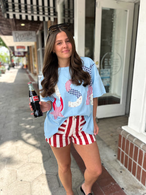Americana Charm Patchwork Top
