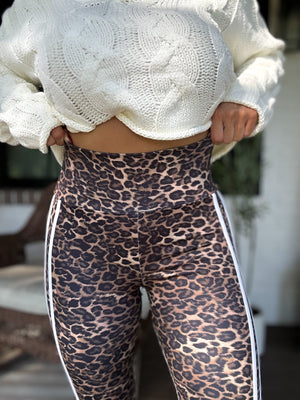 Clarrisa Leopard High Waisted Pants
