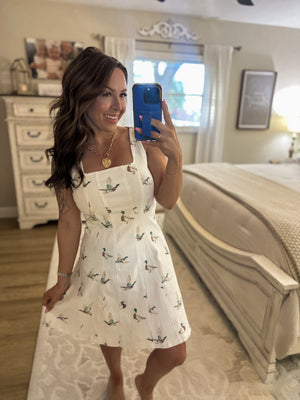 Kori Mallard Denim Mini Dress