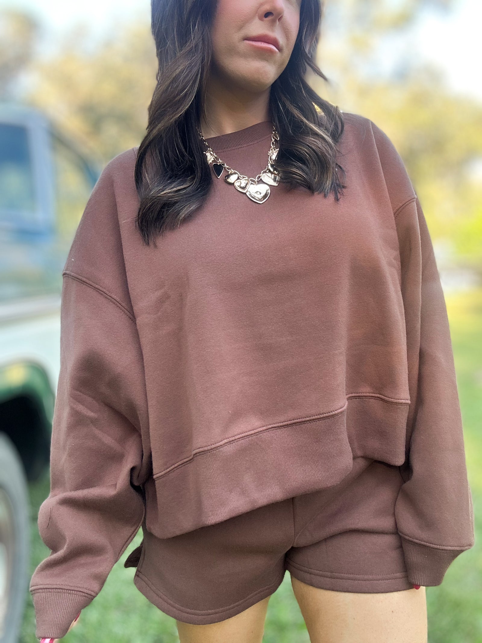 DOORBUSTER - Gabi Round Neck Pullover Brown