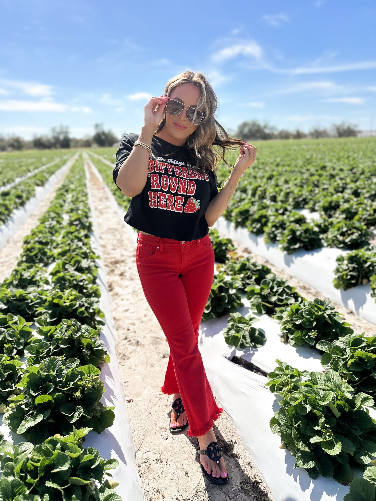 Fancy Low Rise Crop Flare Pants