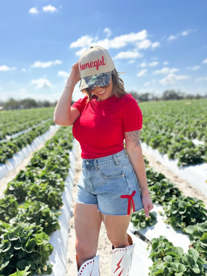 Mavis High Rise Side Ribbon Denim Shorts