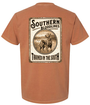 Southern Bloodlines Trained in the South - Orange