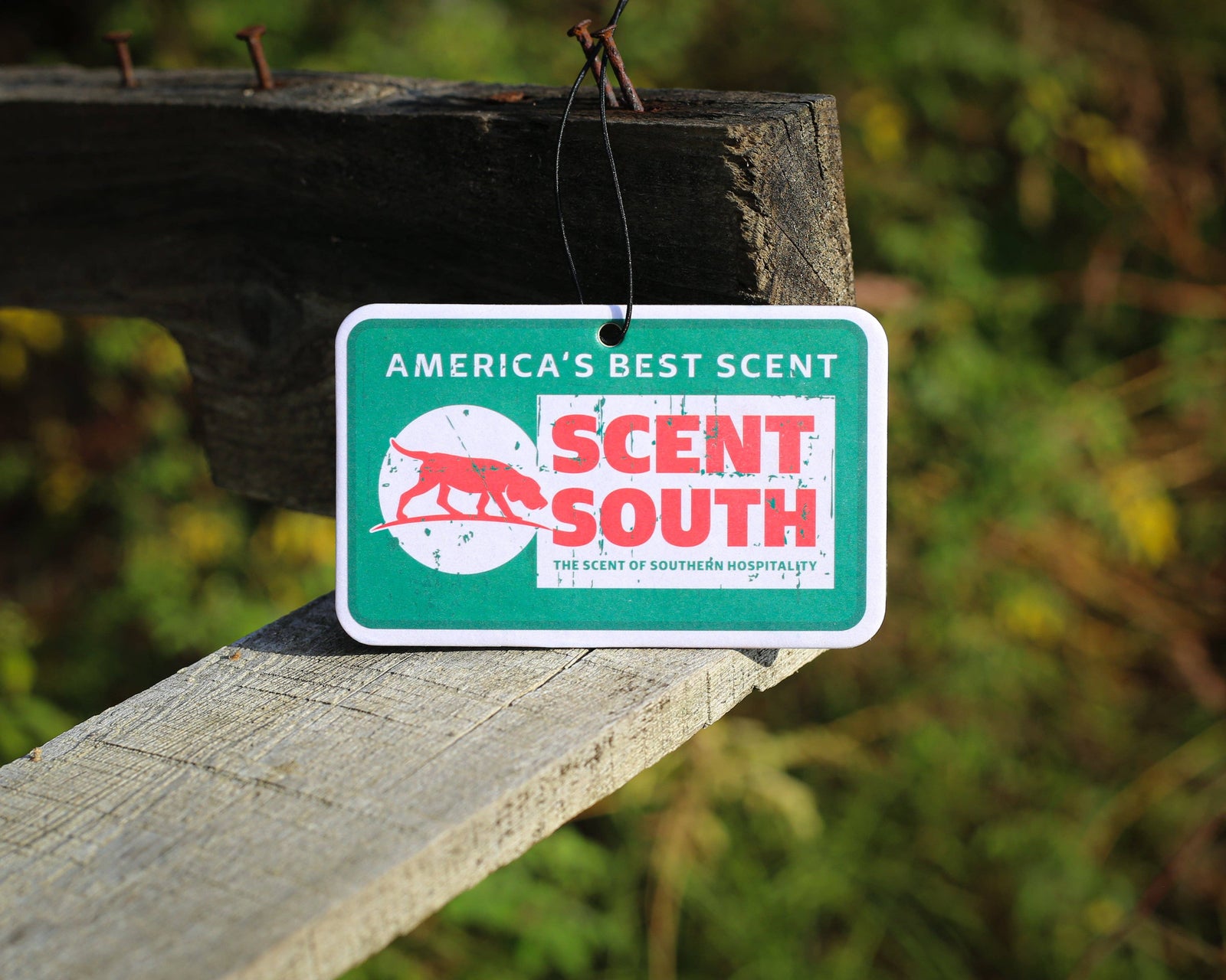 Scent South America's Best Freshie