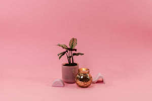 Sweet Grace Collection Candle #008