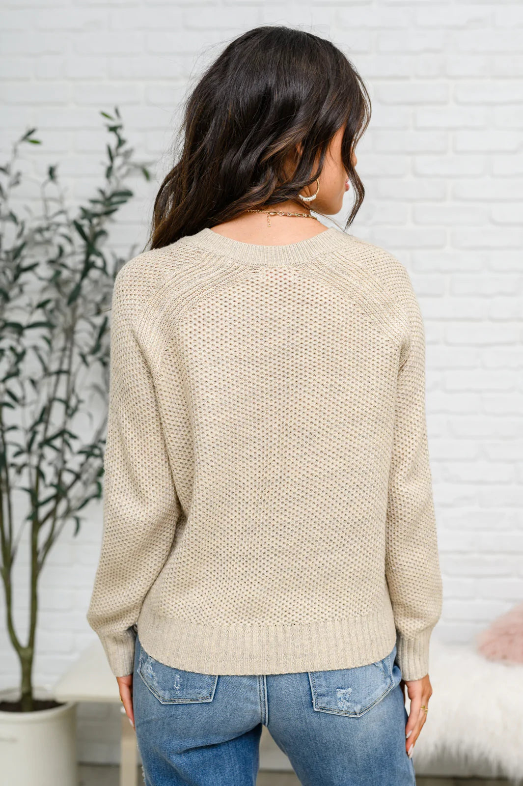 Chai Latte V Neck Sweater in Oatmeal